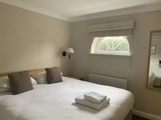 Tek Büyük Yataklı Oda, 1 Çift Kişilik Yatak, Engellilere Uygun (Fir Tree Court)