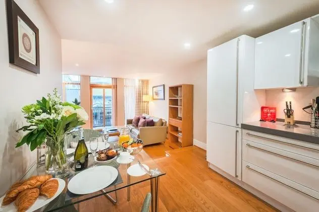 Executive Apart Daire, 1 Yatak Odası, Mutfak, Şehir Manzaralı