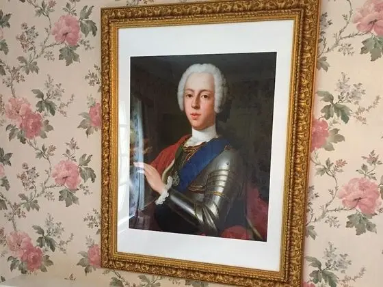 Tek Büyük Yataklı Oda, Banyolu/Duşlu (Bonnie Prince Charlie)
