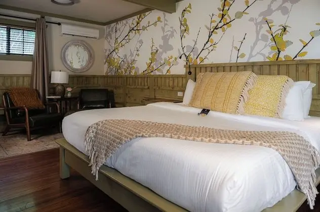 Tek Kişilik Oda, Banyolu/Duşlu (Deluxe-Guest Room A)
