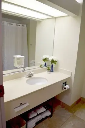 Traditional Tek Büyük Yataklı Oda, 2 Çift Kişilik Yatak
