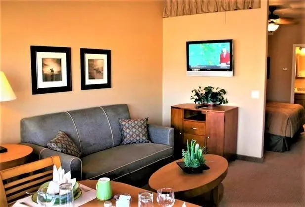 Stüdyo, 1 En Büyük (King) Boy Yatak ve Çekyat, Sigara İçilmez