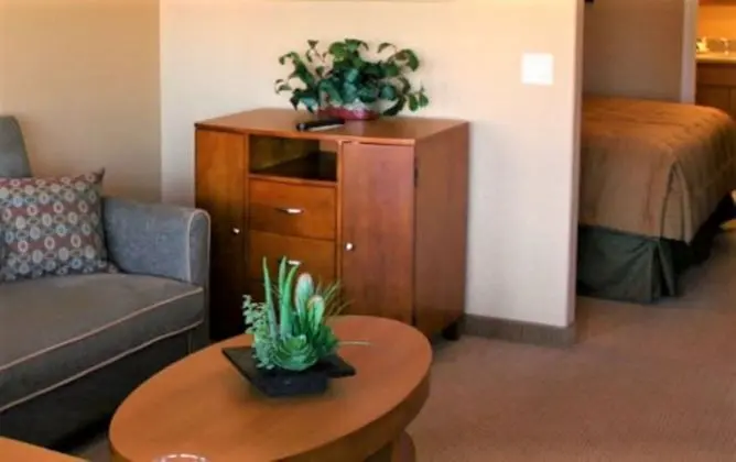 Stüdyo, 1 En Büyük (King) Boy Yatak ve Çekyat, Sigara İçilmez