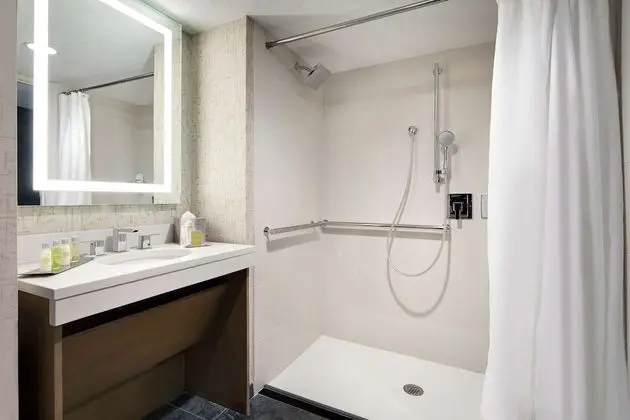Oda, 1 En Büyük (King) Boy Yatak, Engellilere Uygun, Sigara İçilmez (w/ roll-in shower)