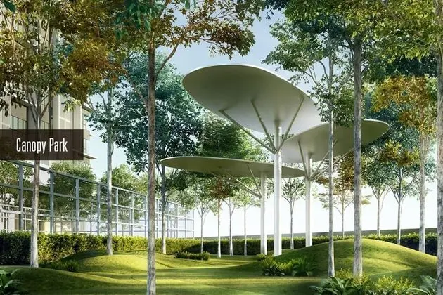 Design Stüdyo