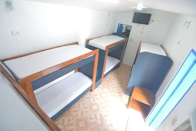 Oda (Group, with 8 Beds)