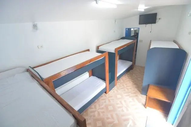 Oda (Group, with 8 Beds)