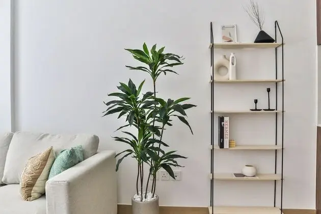 Design Apart Daire