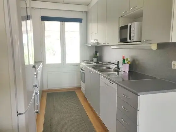 Standard Apart Daire, 2 Yatak Odası, Teras