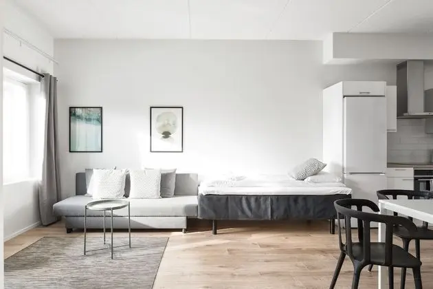 Standard Apart Daire, 1 Yatak Odası