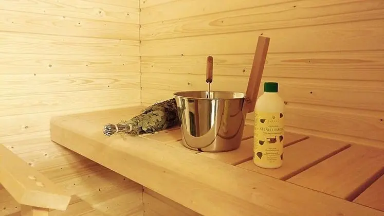 Standard Apart Daire, 1 Yatak Odası, Sauna