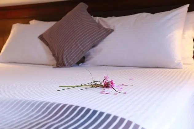 Deluxe Villa, 6 Yatak Odası