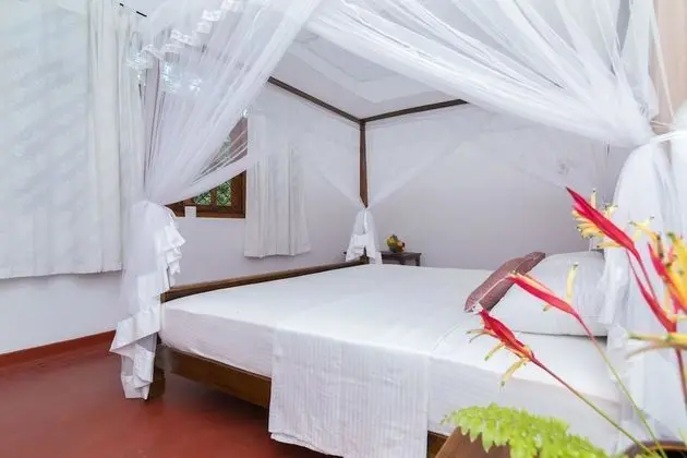 Deluxe Double Room with A/C
