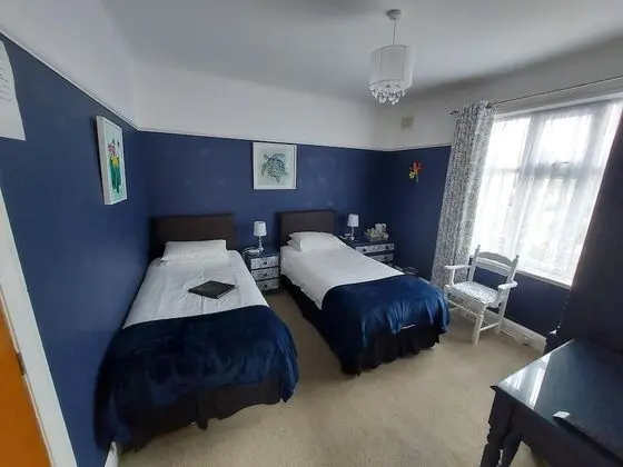 Standard Tek Büyük veya İki Ayrı Yataklı Oda, Banyolu/Duşlu, Bahçe Manzaralı (Conwy)
