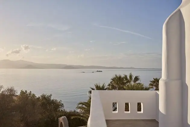 Luxury Villa