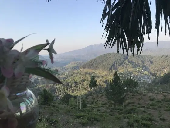 Üç Kişilik Oda, Dağ Manzaralı
