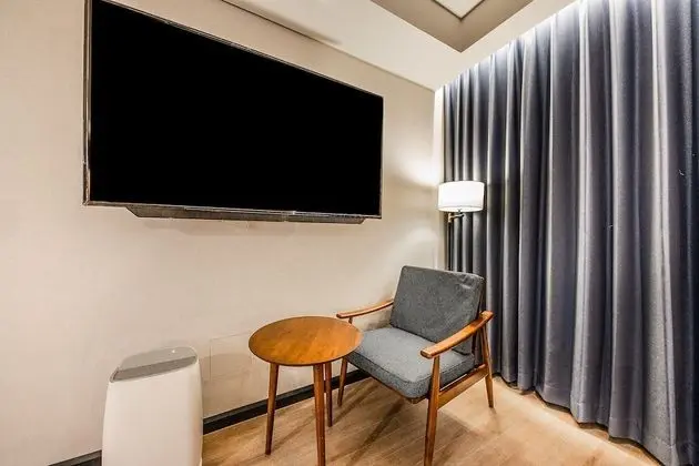 Premium Tek Büyük Yataklı Oda, 1 En Büyük (King) Boy Yatak, Sigara İçilmez, Şehir Manzaralı