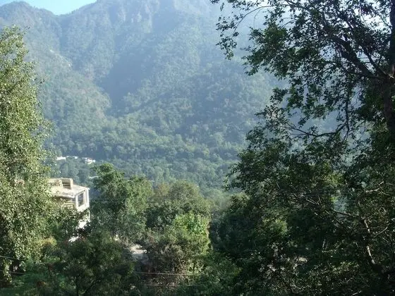 Luxury Oda, 1 Çift Kişilik Yatak