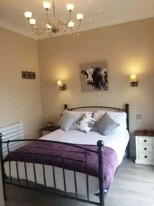 Standard Tek Büyük Yataklı Oda (room 4)