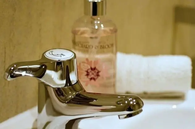 Standard Tek Büyük Yataklı Oda (room 5)