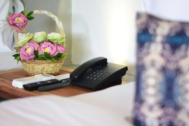 Deluxe İki Ayrı Yataklı Oda, Sigara İçilmez, Şehir Manzaralı