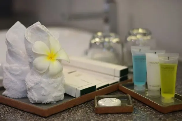 Deluxe İki Ayrı Yataklı Oda, Sigara İçilmez, Şehir Manzaralı