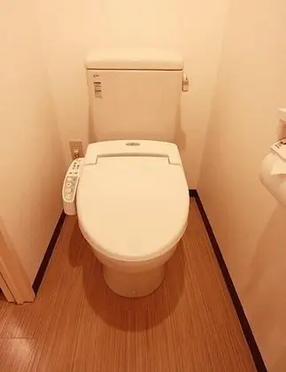 Standard Tek Büyük Yataklı Oda, 1 Çift Kişilik Yatak, Sigara İçilebilir (Check in after 15:00)