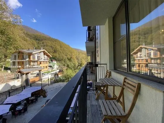 Standard Tek Büyük Yataklı Oda, Balkon, Park Manzaralı