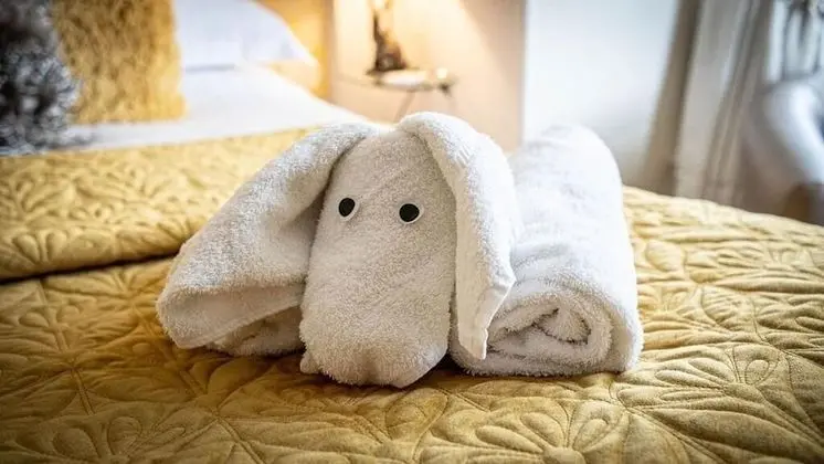Tek Büyük Yataklı Oda (En-suite)