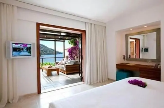 Superior Double Room with Large Terrace (Type A)