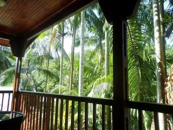Villa (Hibiscus)