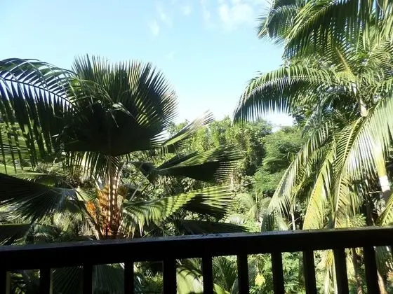 Villa (Palm)