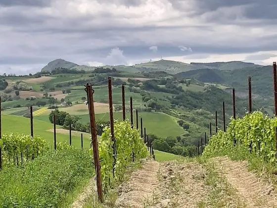 Villa, 2 Yatak Odası, Sıcak Su Havuzu