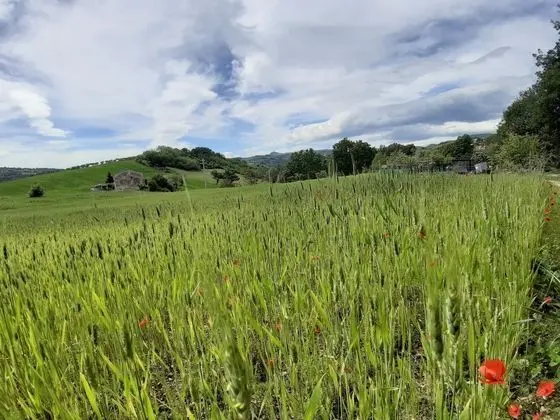 Villa, 2 Yatak Odası, Sıcak Su Havuzu