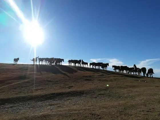 Villa, 2 Yatak Odası, Sıcak Su Havuzu