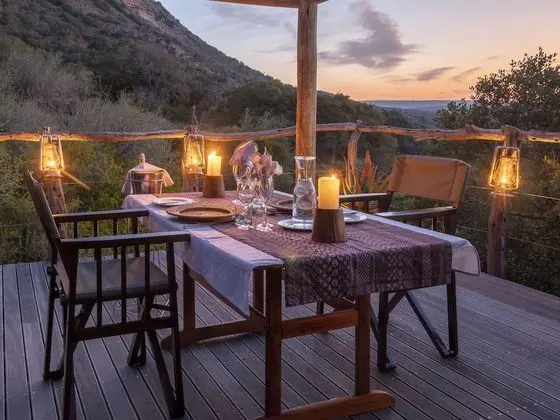 Family Çadır (Family)