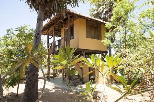 Comfort Ağaç Ev, Okyanus Manzaralı, Denize Sıfır