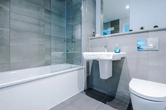 Deluxe Apart Daire, 1 Yatak Odası, Şehir Manzaralı