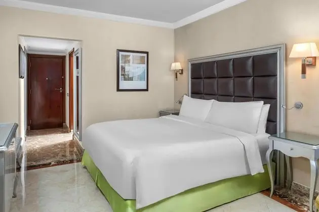 Executive Oda, 1 En Büyük (King) Boy Yatak, Şehir Manzaralı