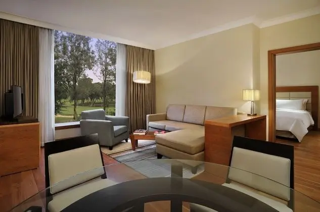 King One Bedroom Suite with Separate Living area, Bathtub, Cocktail hours