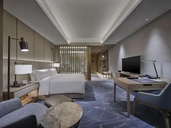 Hilton, Oda, 1 En Büyük (King) Boy Yatak