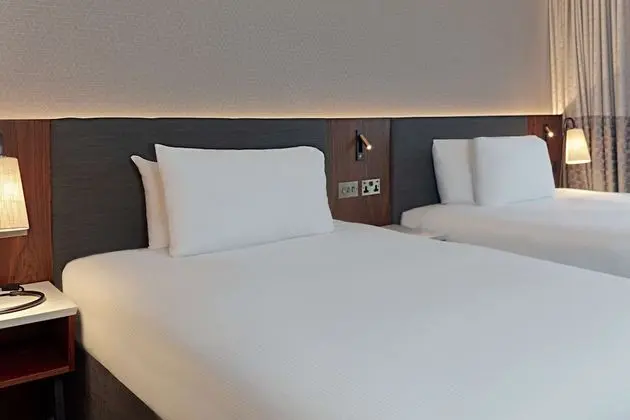 Deluxe Oda, 2 Çift Kişilik Yatak