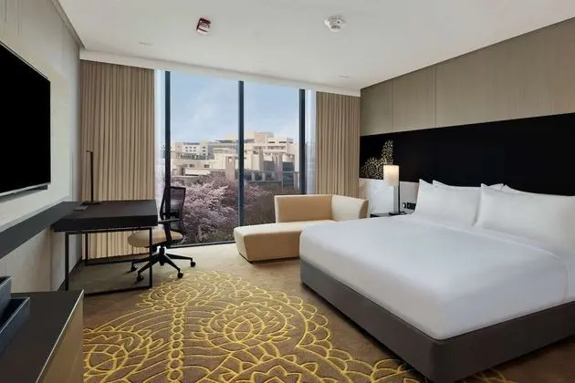 King Room, Engellilere Uygun