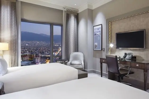 Executive Oda, 2 Tek Kişilik Yatak, Business Dinlenme Salonu Kullanımı