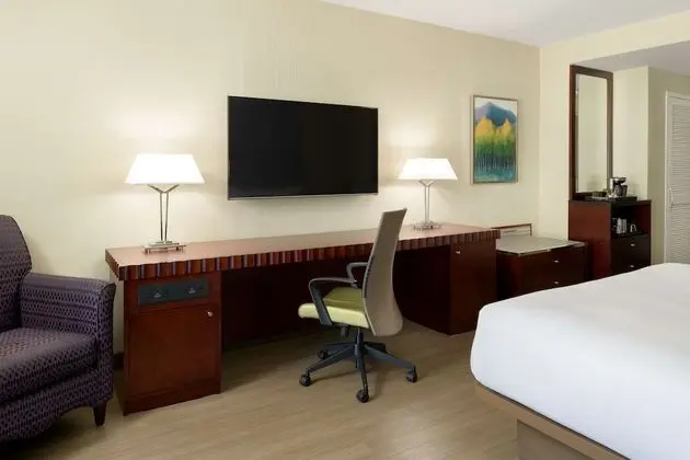 Premium Oda, 1 En Büyük (King) Boy Yatak, Şehir Manzaralı