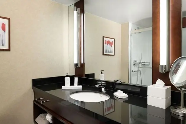 Premium Oda, 1 En Büyük (King) Boy Yatak, Şehir Manzaralı