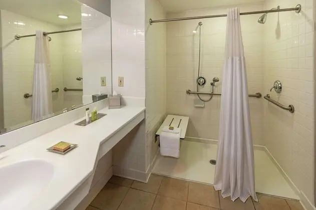 King Deluxe ADA room with roll in shower