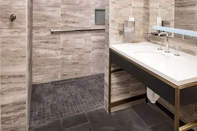 Premier Stüdyo, 1 En Büyük (King) Boy Yatak, Engellilere Uygun (Roll-In Shower)