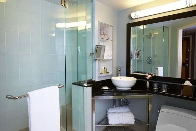 Stüdyo, 1 En Büyük (King) Boy Yatak, Engellilere Uygun (Roll-in Shower)
