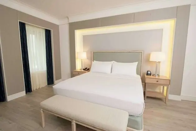 Executive Süit, 1 En Büyük (King) Boy Yatak, Business Dinlenme Salonu Kullanımı